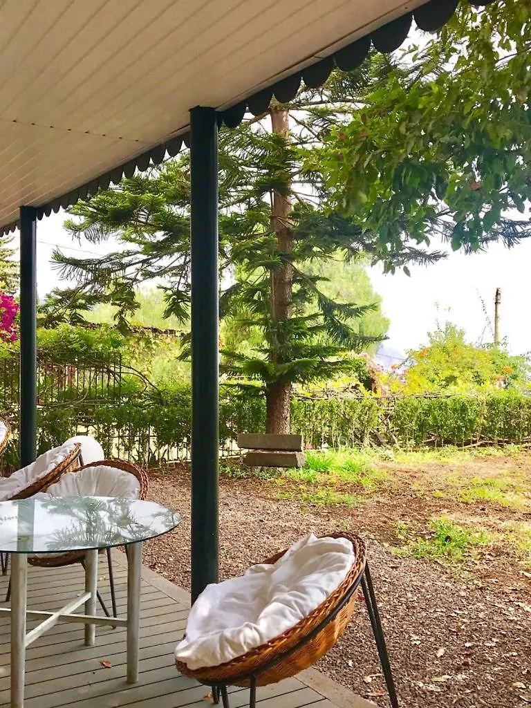 Villa Wisteria Funchal